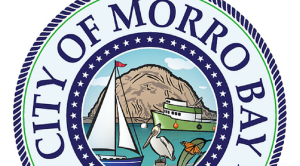 morro bay seal